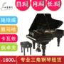 Bắc Kinh thuê buổi biểu diễn piano lớn của Shi Tanwei với STEINWAY Steinway chơi cho thuê đàn piano - dương cầm yamaha c7