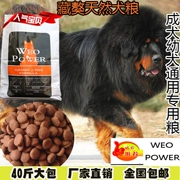 Thức ăn cho chó loại chung 40 kg chó ngao Tây Tạng Chow Chow Chowdon sói xanh chó lớn và trung bình chó con trưởng thành thức ăn cho chó 20kg - Chó Staples
