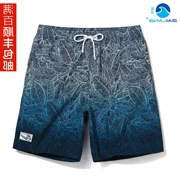 Xuanyuan Nike Taigai sóng kỳ nghỉ bãi biển quần nam nhanh khô nhanh quần bơi bên bờ biển những người yêu thích quần short góc phẳng - Quần bãi biển