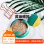 Bác sĩ Công thức American Stereo Butter Repair Shadow Powder Bronze Powder Bronzer highlight dạng kem