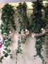Mimosa mô phỏng hoa ivy mô phỏng treo tường khoai lang lá mô phỏng treo tường cây nho bán buôn - Hoa nhân tạo / Cây / Trái cây cây mai giả