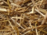 Домашняя пшеничная соломенная солома для пшеницы соломенная тарелка пшеница равиоли
