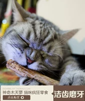 Кошачья игрушка закуски для кошачьего кошачья закуски, измельчение зубов, кошки тонкие табу, деревянные лиао