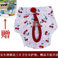 Большие леопардовые домашние животные физиологические штаны.