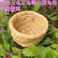 Трава -изготовленное птичье гнездо соломенное бассейн гнездо гнездо яичное гнездо, яичковая птица птица, маленькое яичное гнездо