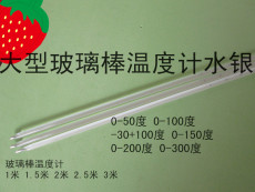 Термометр Большой стеклянный термометр ртути термометр