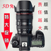 Canon gốc chính hãng 5D MARK II chuyên nghiệp kỹ thuật số SLR máy ảnh 5D2 nhảy 5D3 24-105 kit SLR kỹ thuật số chuyên nghiệp