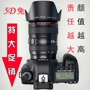 Canon gốc chính hãng 5D MARK II chuyên nghiệp kỹ thuật số SLR máy ảnh 5D2 nhảy 5D3 24-105 kit máy ảnh leica