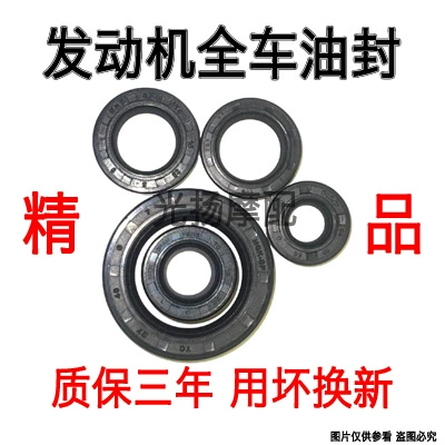 Yongyuan моторное уплотнение Маленькое ниндзя 350 Eagle King 350 Оплачивание масляного уплотнения начинается