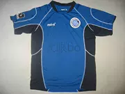 Nhật Bản J League Jersey J2 Mito Hướng dương Mitre Thin Tay áo ngắn bóng đá Mặc bóng đá Top 8 màu sắc - Bóng đá