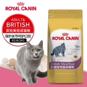 Thức ăn cho mèo hoàng gia Pháp vào thức ăn cho mèo BS34 Thức ăn cho mèo ngắn của Anh Thức ăn cho mèo shorthair của Anh Thức ăn cho mèo chính 2kg