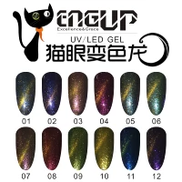 Bán chạy nhất nail sản phẩm ENGUP Yin Shang tắc kè hoa cat eye nail keo đặt 12 màu sao bột cá nail đỏ mận