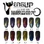 Bán chạy nhất nail sản phẩm ENGUP Yin Shang tắc kè hoa cat eye nail keo đặt 12 màu sao bột cá nail đỏ mận