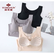 Yu Zhaolin đồ lót phụ nữ mà không có vòng thép tập hợp chống sốc áo ngực mỏng liền mạch Nhật Bản chạy vest yoga áo ngực thể thao