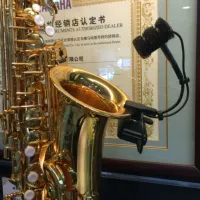 Саксорская труба монократическая бифаха посвященная беспроводная микрофон
