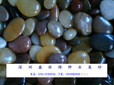 Крупная галька 深圳鑫旺厂家直供鹅卵石材料花砖庭院地垫水磨家装精品南京雨花石