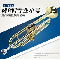 Suzuki SUZUKI thả B giai điệu ba giai điệu nhạc cụ người mới bắt đầu gửi phù hợp với người mới bắt đầu phân loại chơi chuyên nghiệp - Nhạc cụ phương Tây trống điện tử yamaha