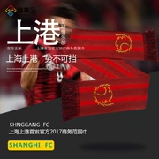 Thu hàng hóa trên cổng chính thức 2017 mô hình kinh doanh khăn tua thêu sọc bib khăn choàng người hâm mộ cổ vũ nguồn cung cấp