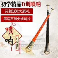 Gỗ mun mun set bộ đầy đủ các nhạc cụ D giai điệu người mới bắt đầu nhập số kích thước người lớn quốc gia chơi còi mua đàn tỳ bà
