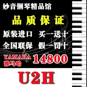 Trường đại học chuyên nghiệp Nhật Bản chuyên nghiệp chơi đàn piano nhập khẩu gốc nhà máy màu sắc YamahaU2H - dương cầm