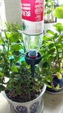 Lazy Automatic Flower Wapering Devices Family использует автоматическое устройство для просачивания с водой Cola может регулировать воду и воду и защиту окружающей среды.