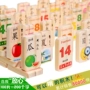 100 ký tự Trung Quốc Domino bé biết chữ giáo dục sớm khối gỗ giáo dục cho trẻ em đồ chơi 2-3-4 tuổi shop đồ chơi trẻ em