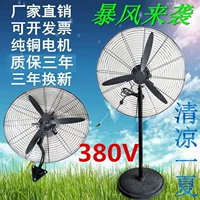 Động cơ đồng ba pha tinh khiết công suất cao loại động cơ 380V quạt điện công nghiệp quạt sàn tường quạt trần - Quạt điện 