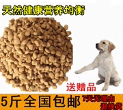 Buddy dành cho người lớn thức ăn cho chó Teddy Tha Mồi Vàng thức ăn cho chó Bomei con chó trưởng thành thức ăn chính rải rác thức ăn cho chó ...