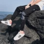 Hummer nam sinn lò studio Macheda ngụy trang chân quần nam phiên bản Hàn Quốc đẹp trai t quần thủy triều quần nam đẹp