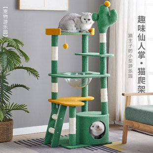 Кактус Кошка поднимает стойку небольшой Не занимая кошку полка Кошачье кошачье дерево один Кошка хватает китти игрушка статьи