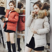 Chống mùa giải phóng mặt bằng lớn cổ áo lông thú bông ngắn nữ áo khoác 2018 mới mùa đông dày sinh viên Hàn Quốc xuống áo khoác