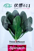 Volt 611 Spinach Seed 300G Original