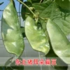 Товары от 昭阳百货