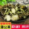 Товары от 安师大08级