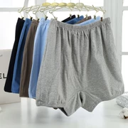 Full box 男士 quần soóc cotton trung niên quần short cộng với phân bón XL đồ lót eo cao