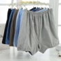 Full box 男士 quần soóc cotton trung niên quần short cộng với phân bón XL đồ lót eo cao sịp nam