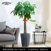 1,8-1,9 метра один выстрел [бассейн цементной краски большой]