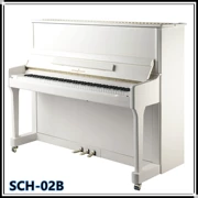 Cho thuê thương hiệu đàn piano mới của Tô Châu SCHUMACHER Schumacher SCH-02B - dương cầm