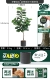 Новый Qinye Rong 76 листьев 140 см дай PP Pot Gentleman Grey