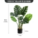 Turtle Back Tree 80 см