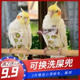 Одежда попугай Сюанфенг маленькая тигроя кожа пион Птица летает Дикер Дикер Дикер Диппер Диаперы. Действительно