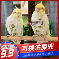 Одежда попугай Сюанфенг маленькая тигроя кожа пион Птица летает Дикер Дикер Дикер Диппер Диаперы. Действительно