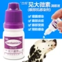 Apricot Đài Loan thấy lớn cung cấp vi khuẩn chó và mèo viêm kết mạc Thuốc nhỏ mắt chống viêm 5ml để ngăn ngừa nhiễm trùng! - Thuốc nhỏ mắt thuốc nhỏ mắt cận thị