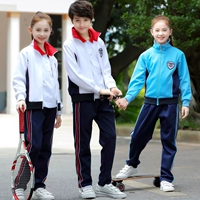 Осенняя детская форма подходит для мужчин и женщин для настольного тенниса для тренировок, волейбольная куртка для бадминтона, длинный рукав