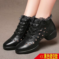 Black Hollow Model 8013