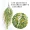 Mô phỏng chuông vàng treo trang trí cây nho trong nhà nhựa giả hoa mây treo tường treo tường cây xanh - Hoa nhân tạo / Cây / Trái cây lá cây giả