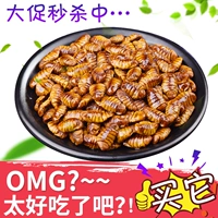 Shandong Specialty Fresh Frozen 5 фунтов шелковичных шелковых червей кокон кокон коконы сырой шелкорный куколок Golden Pup