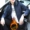 Fugui chim nam áo khoác 2018 mùa xuân mới Hàn Quốc phiên bản của xu hướng tự trồng đẹp trai áo khoác mỏng hoang dã người đàn ông giản dị của quần áo áo kiểu trung niên hàn quốc