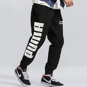 PUMA PUMA Men Mùa xuân và mùa thu dệt kim Cotton Polyester thoáng khí Ấm áp Logo cổ điển Quần thể thao 851980 - Quần thể thao