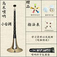 Маленький G Тон [9 Whistle+4 подарка]